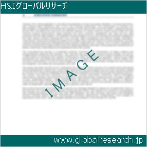 グローバルリサーチ調査レポートのイメージ